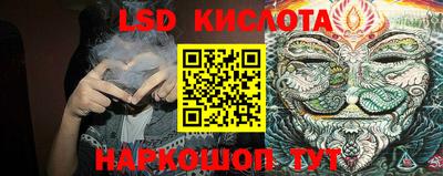 винт Славгород