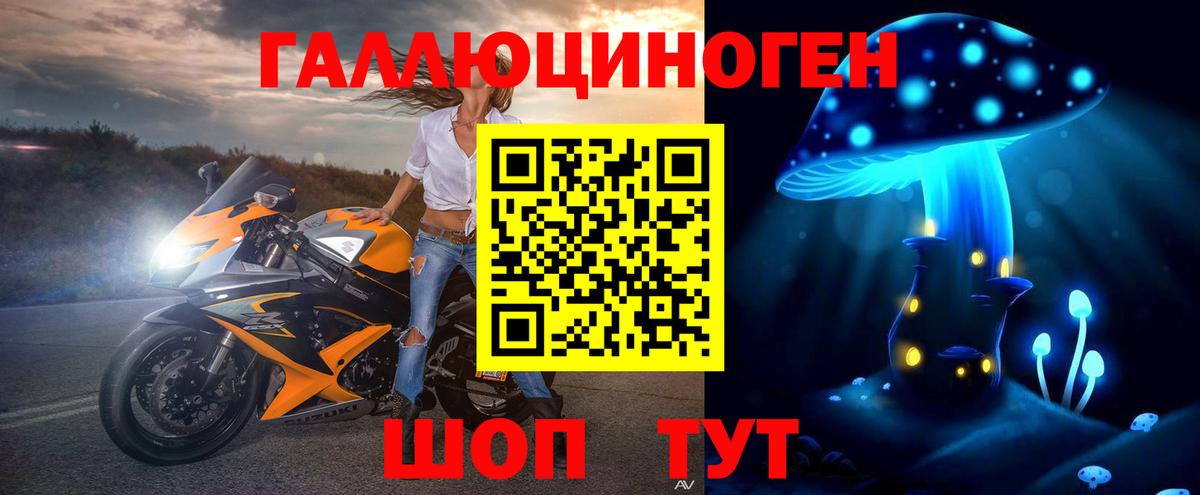 Сарапул  Псилоцибиновые грибы Psilocybe  Вход с VPN 